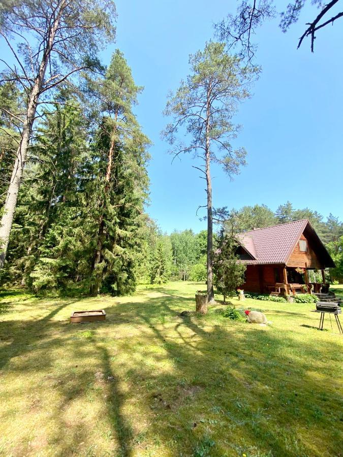 Villa Rojaus Slenis à Druskininkai Extérieur photo