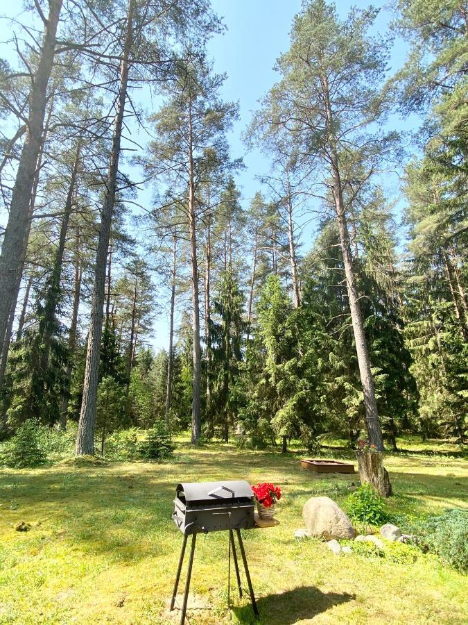 Villa Rojaus Slenis à Druskininkai Extérieur photo