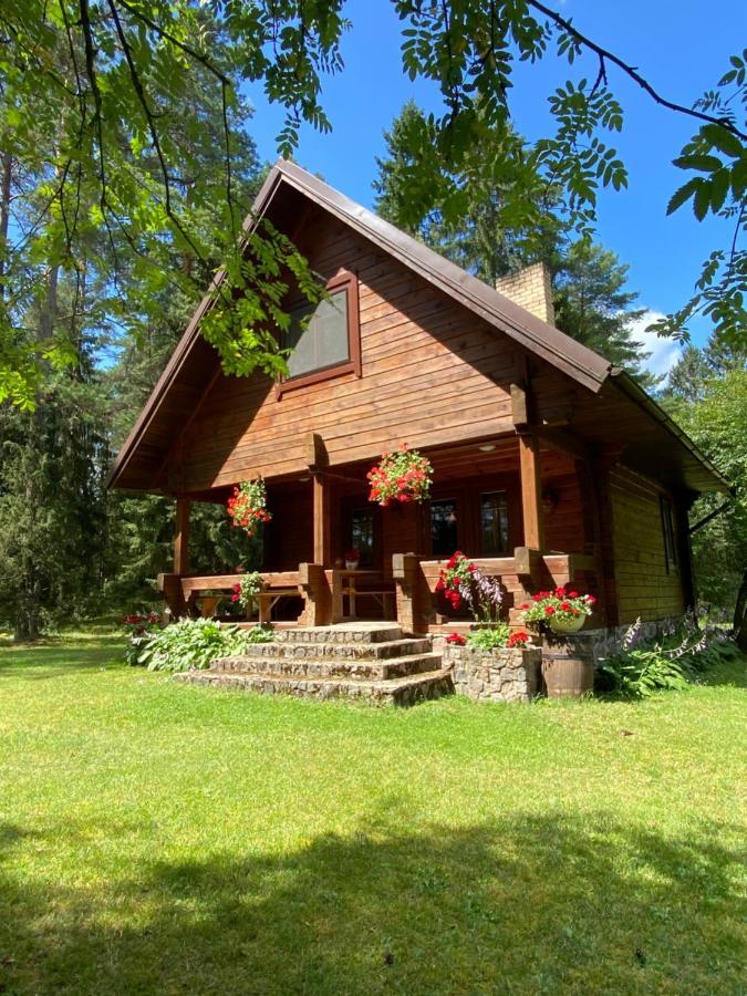 Villa Rojaus Slenis à Druskininkai Extérieur photo