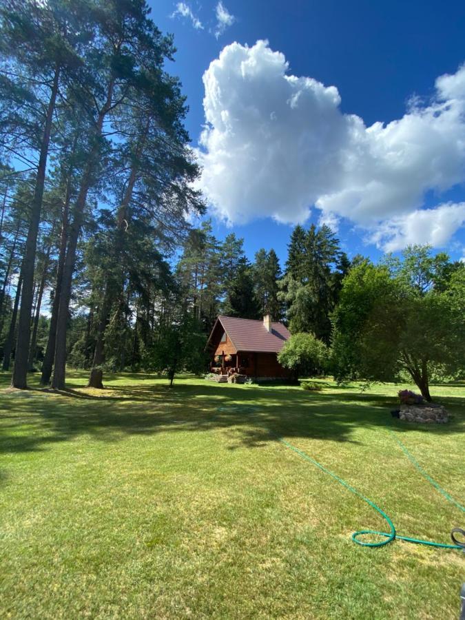 Villa Rojaus Slenis à Druskininkai Extérieur photo