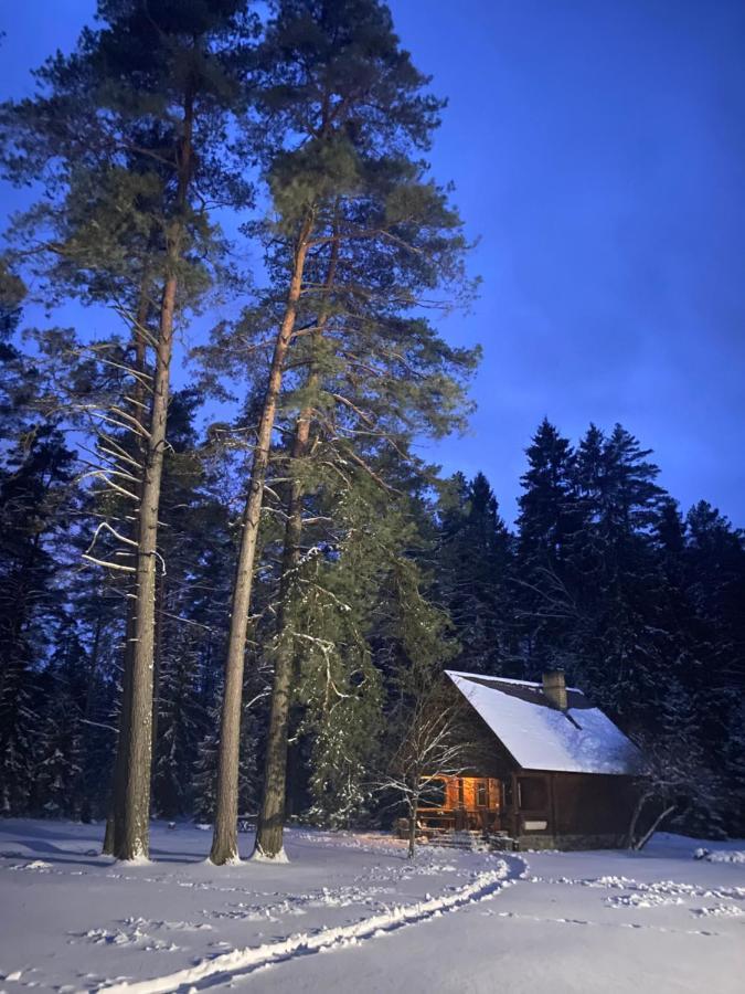 Villa Rojaus Slenis à Druskininkai Extérieur photo