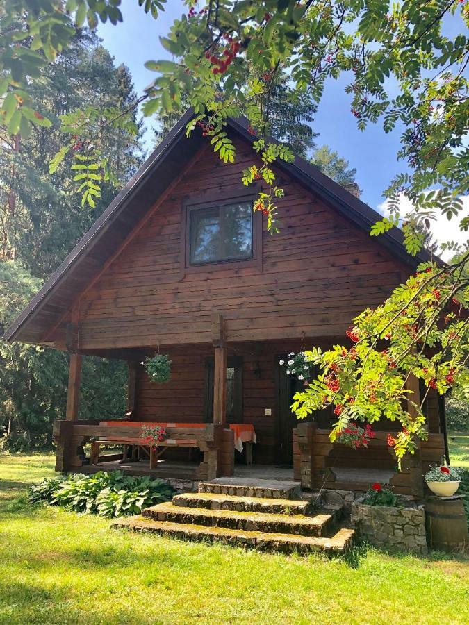 Villa Rojaus Slenis à Druskininkai Extérieur photo