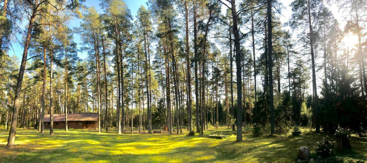 Villa Rojaus Slenis à Druskininkai Extérieur photo