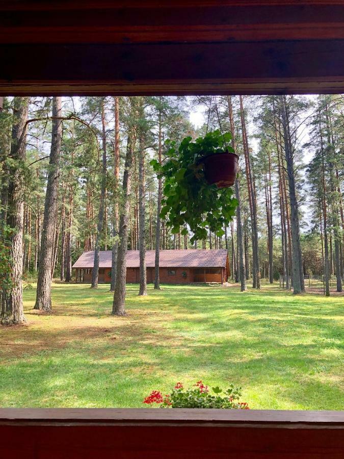Villa Rojaus Slenis à Druskininkai Extérieur photo