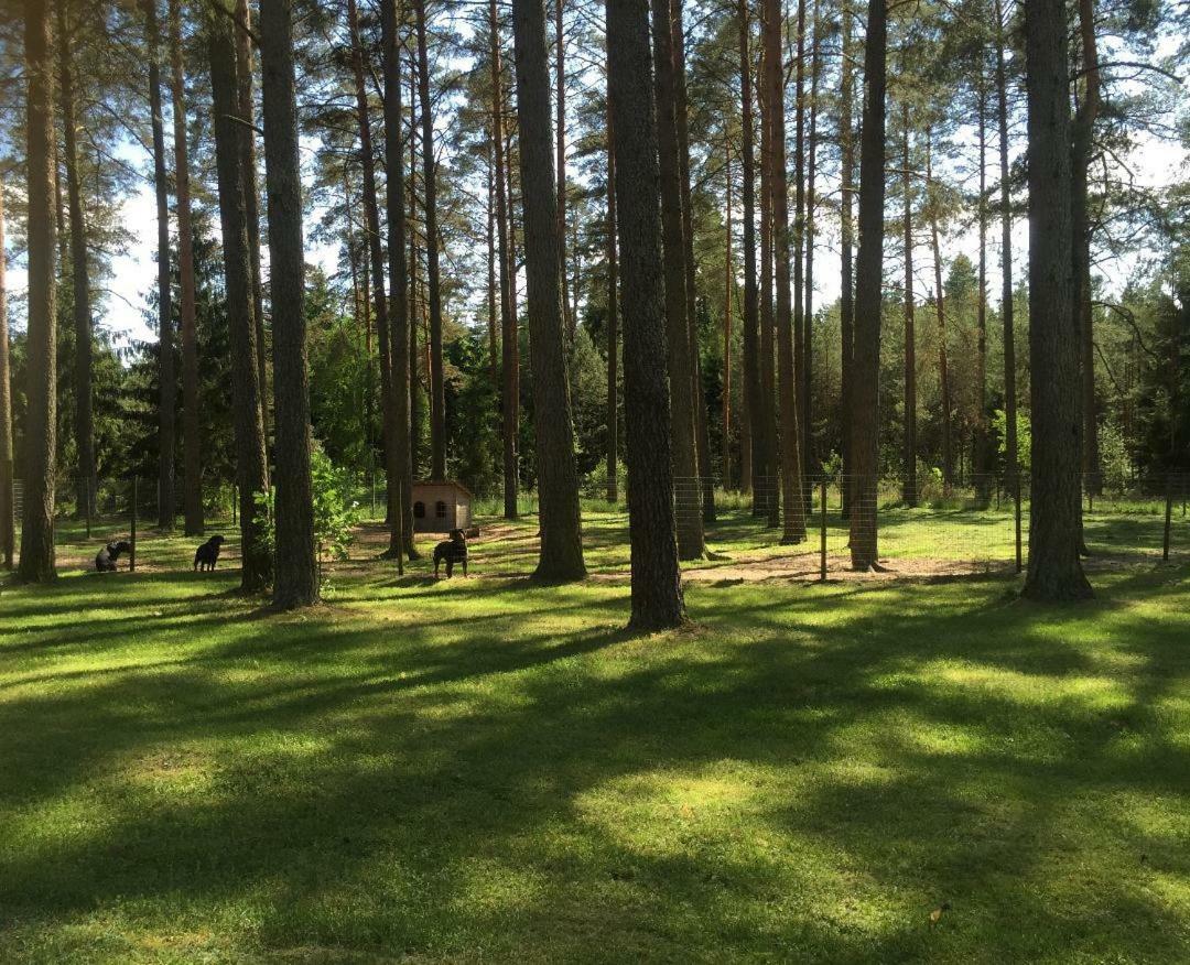 Villa Rojaus Slenis à Druskininkai Extérieur photo